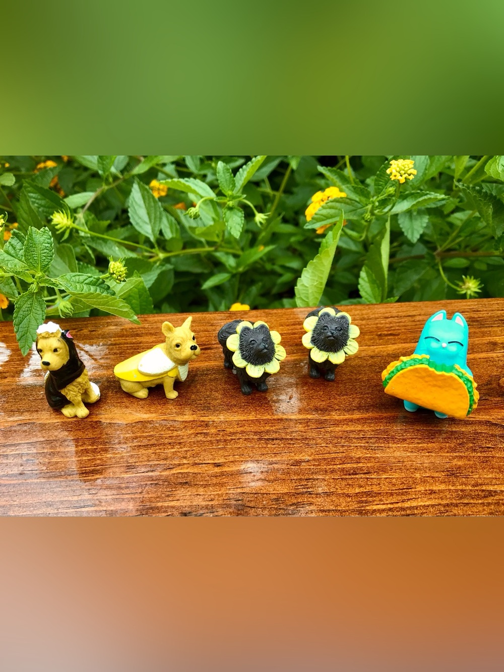 Gumball Machine Tiny Dogs Funny Costume Banana Skunk Flower Dog Figures Taco Cat